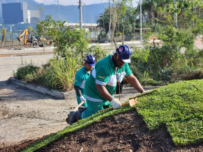 Plantio de placas de grama em canteiro